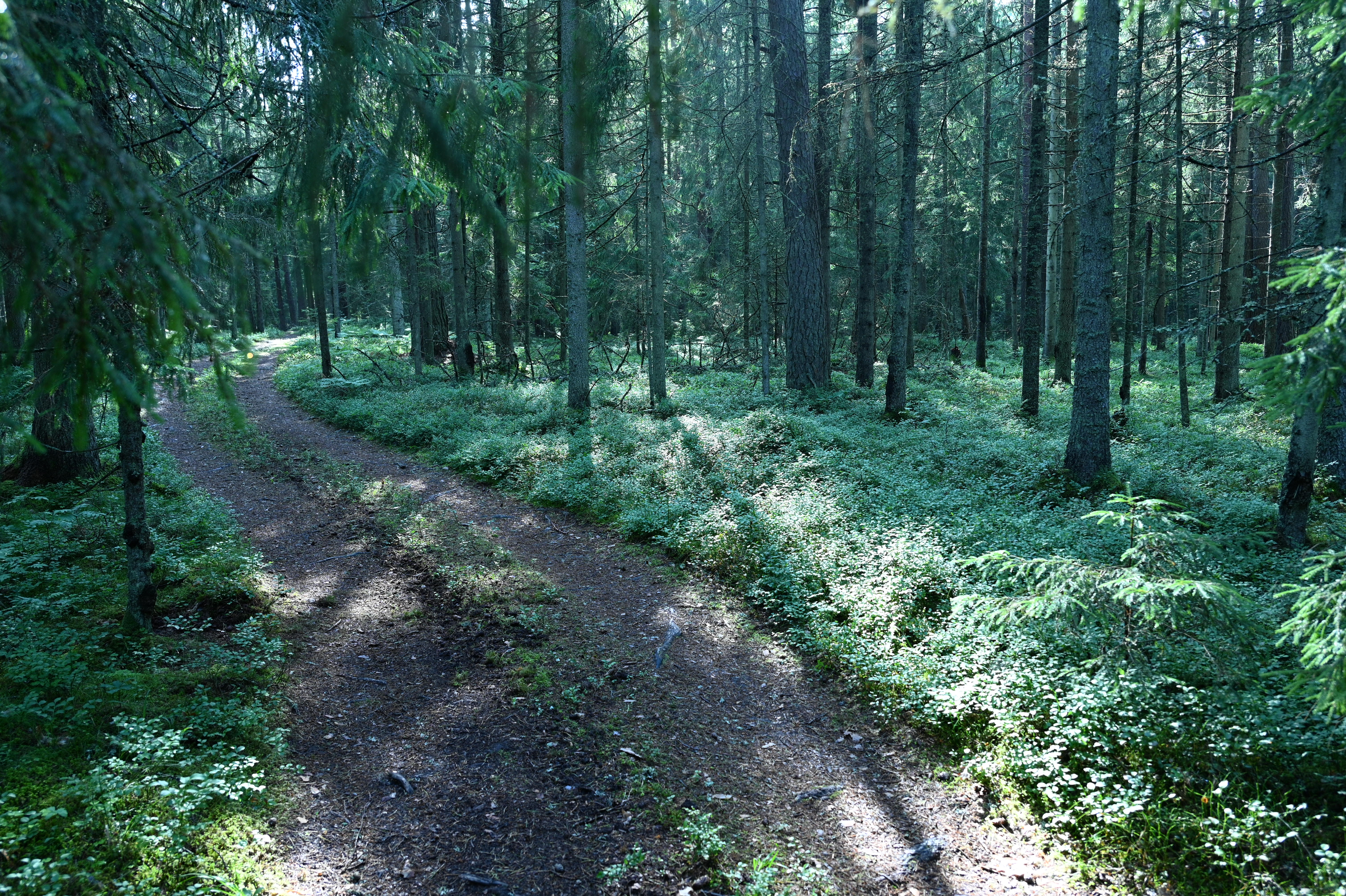 2025/07/09-14 - trip/DSC_0272.JPG